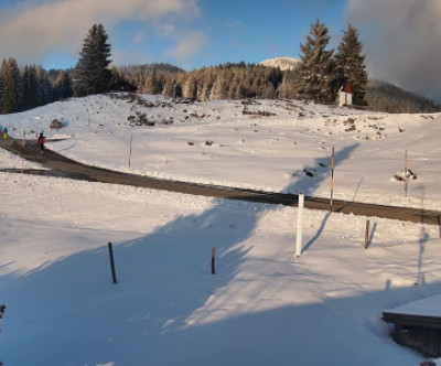 Reit im Winkl - Winklmoosalm / Oberbayern