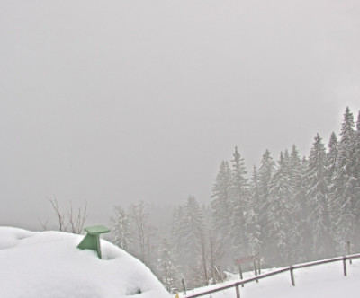 Ruhpolding / Oberbayern
