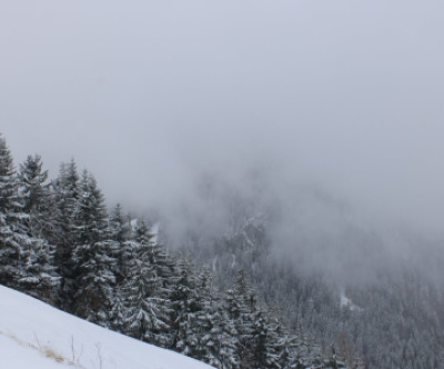 Ruhpolding / Oberbayern