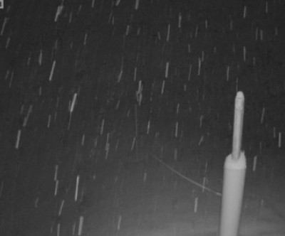 Unken - Heutal / Salzburger Land