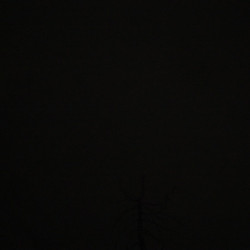 Webcam Hochgseng / Unken - Heutal