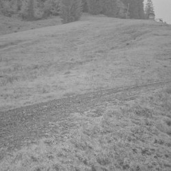 Webcam Gimpling / Unken - Heutal
