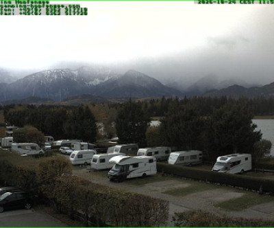 Hopfen / Allgäu
