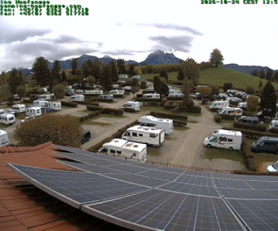Hopfen / Allgäu