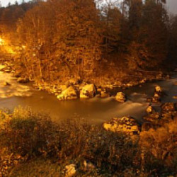 Webcam Saalach / Almenwelt Lofer