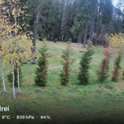Webcam Parcul lui Andrei / Busteni